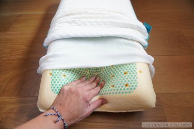 Almohada Marmota MA_original