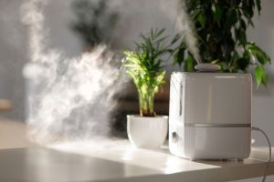 Humidificador en una habitación con plantas