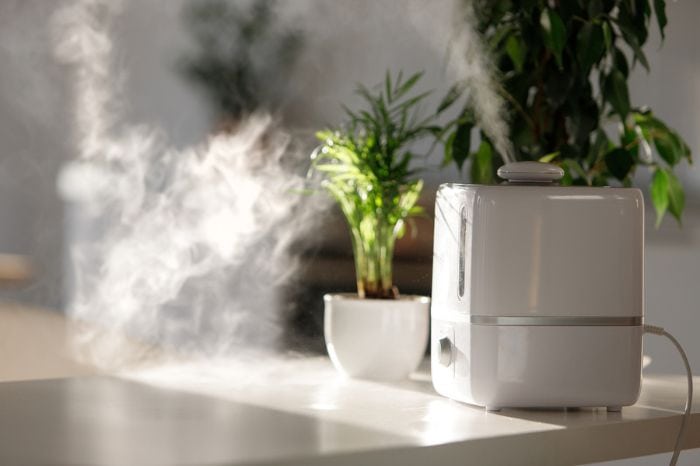 Humidificador en una habitación con plantas