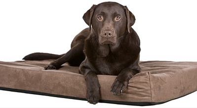 Cama perro grande