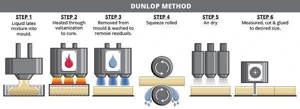 Différences entre le Latex Dunlop et le Latex Talalay Latex Dunlop