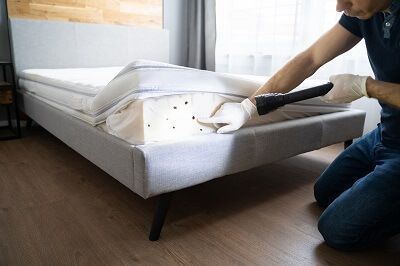 Identifier une infestation de punaises de lit