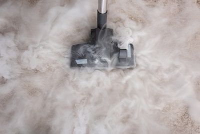 Nettoyeur vapeur Punaises de lit