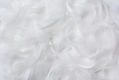Garnissages en duvet et en plumes